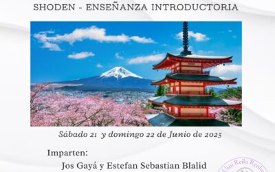 CURSO DE REIKI